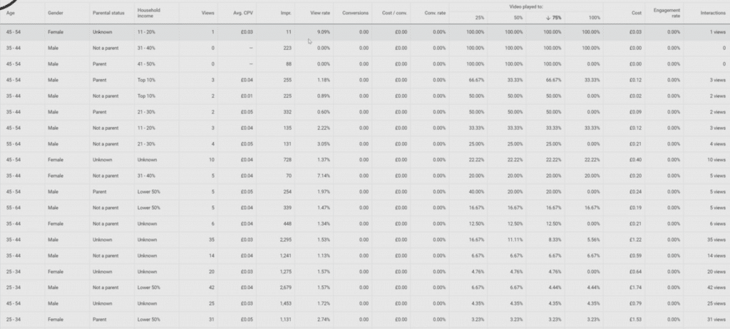 Google Ads Demographic